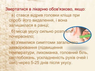 Звертатися в лікарню обов'язково, якщо:
а) стався відрив головки кліща при
спробі його видалення, і вона
залишилася в ранці;
б) місце укусу сильно розпухло і
почервоніло;
в) з'явилися симптоми загального
захворювання (підвищення
температури, лихоманка, головний біль,
світлобоязнь, ускладненість рухів очей і
шиї) через 5-25 днів після укусу.
 