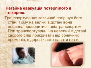 Негайна евакуація потерпілого в
лікарню.
Транспортування зазвичай погіршує його
стан. Тому на великі відстані вона
повинна проводитися авіатранспортом.
При транспортуванні на невеликі відстані
хворого слід прикривати від сонячних
променів, в дорозі часто давати пиття.
 