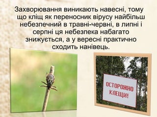 Захворювання виникають навесні, тому
що кліщ як переносник вірусу найбільш
небезпечний в травні-червні, в липні і
серпні ця небезпека набагато
знижується, а у вересні практично
сходить нанівець.
 