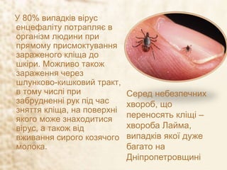 У 80% випадків вірус
енцефаліту потрапляє в
організм людини при
прямому присмоктування
зараженого кліща до
шкіри. Можливо також
зараження через
шлунково-кишковий тракт,
в тому числі при
забрудненні рук під час
зняття кліща, на поверхні
якого може знаходитися
вірус, а також від
вживання сирого козячого
молока.
Серед небезпечних
хвороб, що
переносять кліщі –
хвороба Лайма,
випадків якої дуже
багато на
Дніпропетровщині
 