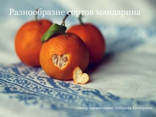 Автор презентации: Лебедева Екатерина
Разнообразие сортов мандарина
 