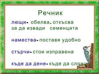 лющи- ,обелва откъсва
за да извади семенцата
намества- поставя удобно
стърчи- стои изправена
-къде да дене къде да сложи
Речник
ДаниелаВелчева
 