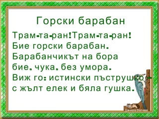 Горски барабан
- - ! - - !Трам та ран Трам та ран
.Бие горски барабан
Барабанчикът на бора
, , .бие чука без умора
: –Виж го истински пъструшко
.с жълт елек и бяла гушка
ДаниелаВелчева
 