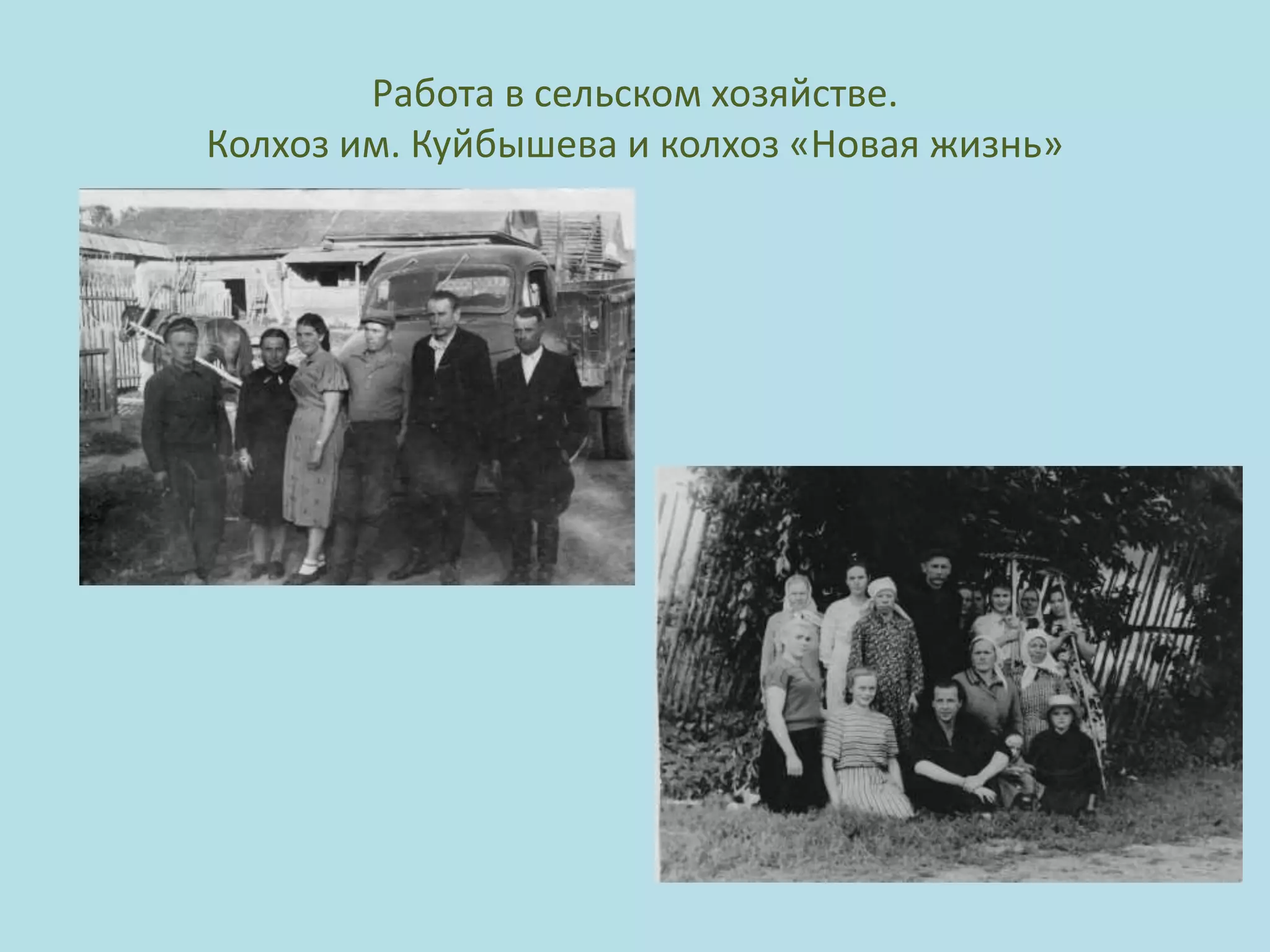 Работа в сельском хозяйстве.
Колхоз им. Куйбышева и колхоз «Новая жизнь»
 