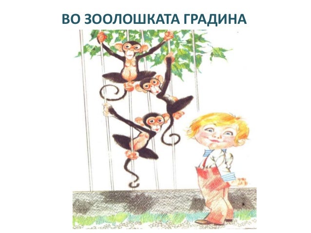 лектира зоки поки