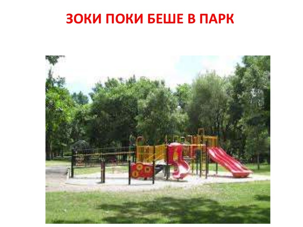 лектира зоки поки