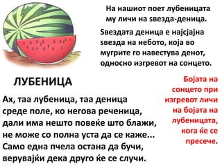 ЛУБЕНИЦА
Ах, таа лубеница, таа деница
среде поле, ко негова реченица,
дали има нешто повеќе што блажи,
не може со полна уста да се каже...
Само една пчела остана да бучи,
верувајќи дека друго ќе се случи.
На нашиот поет лубеницата
му личи на ѕвезда-деница.
Ѕвездата деница е најсјајна
ѕвезда на небото, која во
мугрите го навестува денот,
односно изгревот на сонцето.
Бојата на
сонцето при
изгревот личи
на бојата на
лубеницата,
кога ќе се
пресече.
 