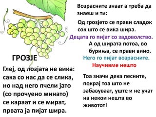 ГРОЗЈЕ
Глеј, од лозјата не вика:
сака со нас да се слика,
но над него пчели јато
(со прочуено минато)
се караат и се мират,
првата ја пијат шира.
Возрасните знаат а треба да
знаеш и ти:
Од грозјето се прави сладок
сок што се вика шира.
Децата го пијат со задоволство.
А од ширата потоа, во
буриња, се прави вино.
Него го пијат возрасните.
Научивме нешто
Тоа значи дека песните,
покрај тоа што не
забавуваат, уште и не учат
на некои нешта во
животот!
 