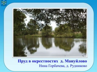 Пруд в окрестностях д. Мануйлово
Нина Горбачева, д. Рудниково
 