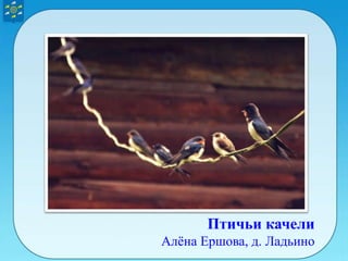 Птичьи качели
Алёна Ершова, д. Ладьино
 
