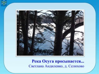 Река Осуга просыпается...
Светлана Андилевко, д. Селихово
 