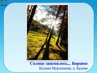 Солнце зацепилось... Боровое
Ксения Мурзенкова, д. Будово
 