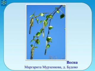Весна
Маргарита Мурзенкова, д. Будово
 