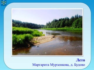 Лето
Маргарита Мурзенкова, д. Будово
 