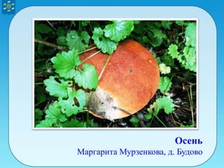 Осень
Маргарита Мурзенкова, д. Будово
 