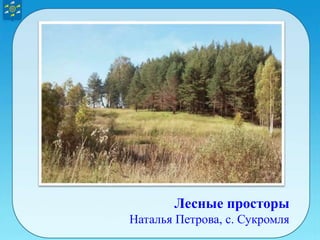 Лесные просторы
Наталья Петрова, с. Сукромля
 