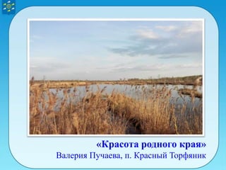 «Красота родного края»
Валерия Пучаева, п. Красный Торфяник
 