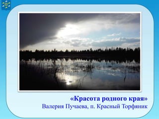 «Красота родного края»
Валерия Пучаева, п. Красный Торфяник
 