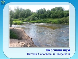 Тверецкий шум
Наталья Соловьёва, п. Тверецкий
 