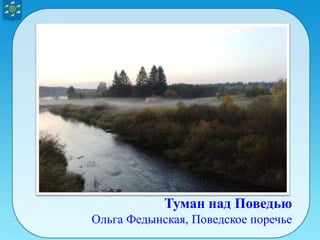 Туман над Поведью
Ольга Федынская, Поведское поречье
 