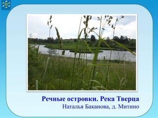 Речные островки. Река Тверца
Наталья Баканова, д. Митино
 