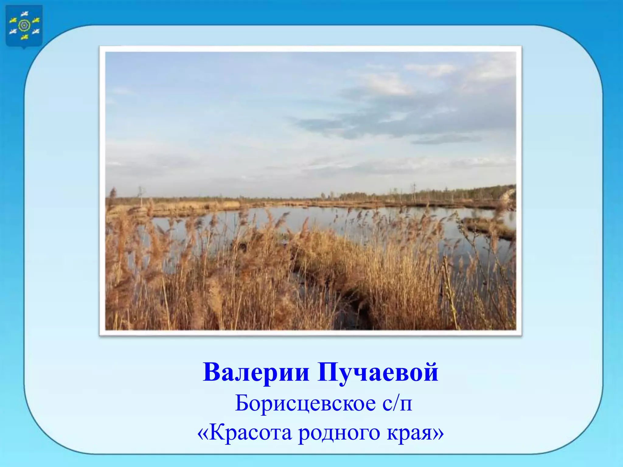 Валерии Пучаевой
Борисцевское с/п
«Красота родного края»
 
