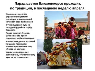 Парад цветов Блюменкорсо проходит,
по традиции, в последнюю неделю апреля.
Колонна из десятков
украшенных цветами
платформ и инсталляций
начинает свое движение в
9 утра и держит путь из
города Нордвейк в город
Хаарлем.
Парад длится 12 часов,
успевая за это время
преодолеть 40 километров,
и сопровождается музыкой,
танцами, песнями и
костюмированными шоу.
«Поезд из цветов» -
движется по строгому
расписанию, составленному
чуть ли не поминутно.
 
