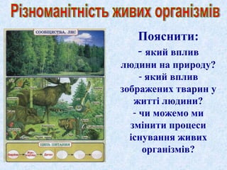 Пояснити:
- який вплив
людини на природу?
- який вплив
зображених тварин у
житті людини?
- чи можемо ми
змінити процеси
існування живих
організмів?
 