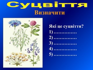 Визначити
Які це суцвіття?
1) ……………
2) ……………
3) ……………
4) ……………
5) ……………
 