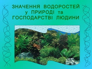 ЗНАЧЕННЯ ВОДОРОСТЕЙ
у ПРИРОДІ та
ГОСПОДАРСТВІ ЛЮДИНИ
 
