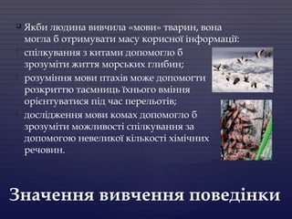  Якби людина вивчила «мови» тварин, вона
могла б отримувати масу корисної інформації:
- спілкування з китами допомогло б
зрозуміти життя морських глибин;
- розуміння мови птахів може допомогти
розкриттю таємниць їхнього вміння
орієнтуватися під час перельотів;
- дослідження мови комах допомогло б
зрозуміти можливості спілкування за
допомогою невеликої кількості хімічних
речовин.
Значення вивчення поведінки
 