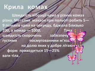 Швидкість вібрації крил у різних комах
різна. Метелик махаон при польоті робить 5—
9 помахів крил на секунду, бджола близько
200, а комар — 1000. Така
швидкість скорочень забезпечується
густими посмугованими м’язами,
на долю яких у добре літаючих
форм приходиться 15—25%
ваги тіла.
Крила комах
 