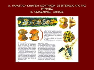 Α. ΠΑΡΑΣΤΑΣΗ ΚΥΝΗΓΙΟΥ ΛΙΟΝΤΑΡΙΩΝ ΣΕ ΕΓΓΕΙΡΙΔΙΟ ΑΠΟ ΤΗΣ
ΜΥΚΗΝΕΣ
Β. ΟΚΤΩΣΧΗΜΕΣ ΑΣΠΙΔΕΣ
 
