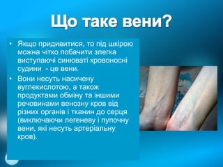 вени | PPT