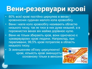 вени | PPT