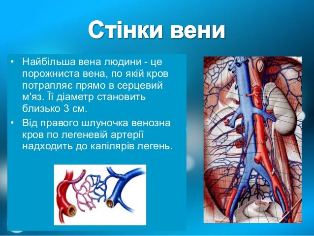 вени