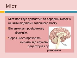 Відділи медицини, які займаються
лікуванням травної системи – це
гастроентерологія та проктологія.
 