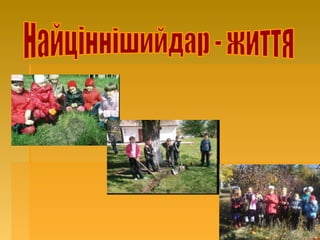 Життєва позиція