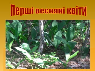 Життєва позиція