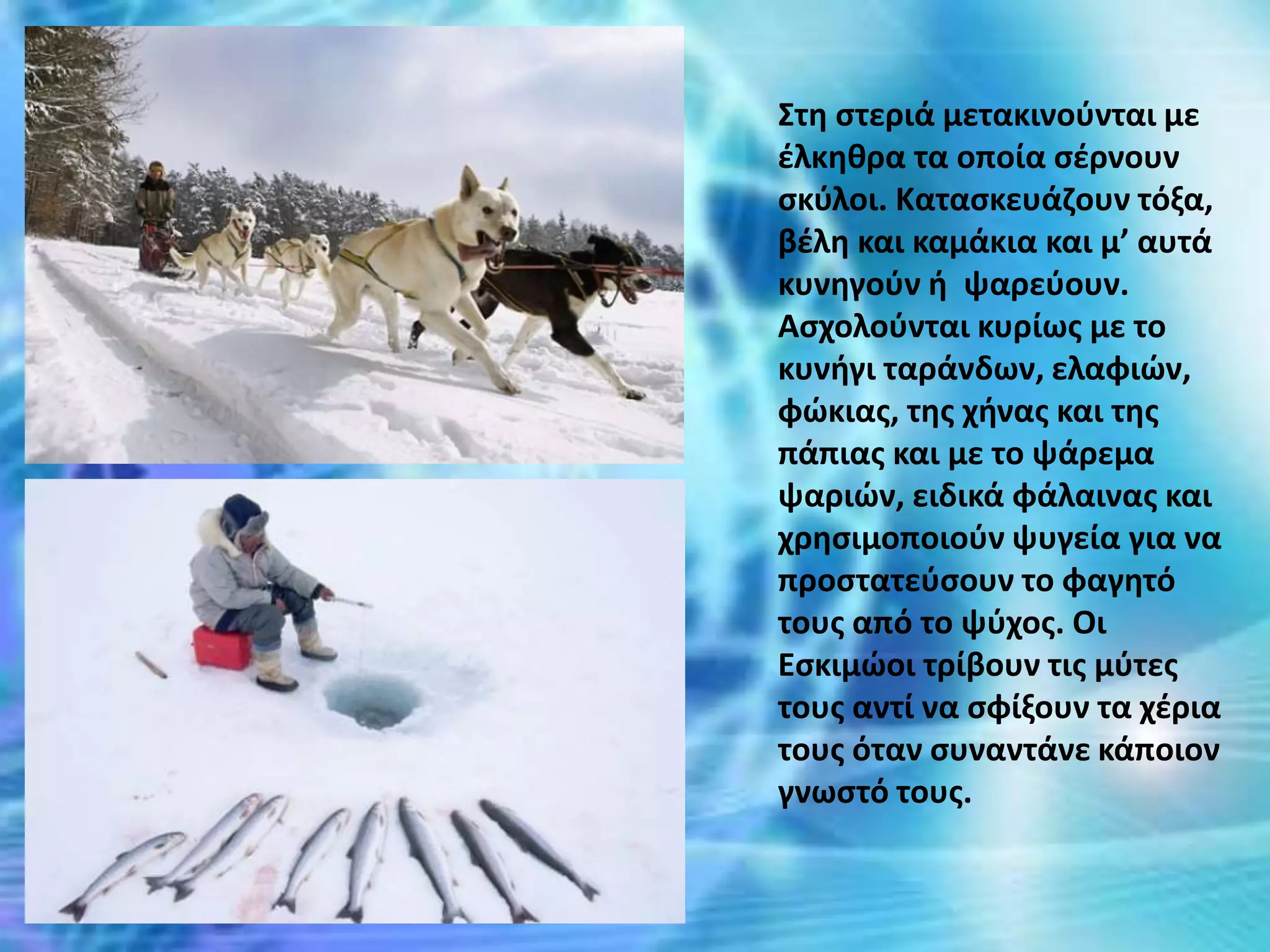 Στη στεριά μετακινούνται με
έλκηθρα τα οποία σέρνουν
σκύλοι. Κατασκευάζουν τόξα,
βέλη και καμάκια και μ’ αυτά
κυνηγούν ή ψαρεύουν.
Ασχολούνται κυρίως με το
κυνήγι ταράνδων, ελαφιών,
φώκιας, της χήνας και της
πάπιας και με το ψάρεμα
ψαριών, ειδικά φάλαινας και
χρησιμοποιούν ψυγεία για να
προστατεύσουν το φαγητό
τους από το ψύχος. Οι
Εσκιμώοι τρίβουν τις μύτες
τους αντί να σφίξουν τα χέρια
τους όταν συναντάνε κάποιον
γνωστό τους.
 