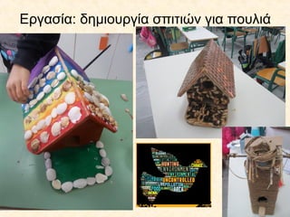 Εργασία: δημιουργία σπιτιών για πουλιά
 