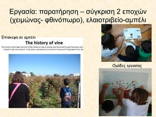 Εργασία: παρατήρηση – σύγκριση 2 εποχών
(χειμώνας- φθινόπωρο), ελαιοτριβείο-αμπέλι
Ομάδες εργασίας
Επίσκεψη σε αμπέλι
 