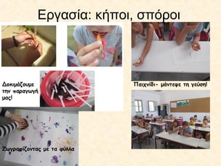 Εργασία: κήποι, σπόροι
Παιχνίδι- μάντεψε τη γεύση!Δοκιμάζουμε
την παραγωγή
μας!
Ζωγραφίζοντας με τα φύλλα
 