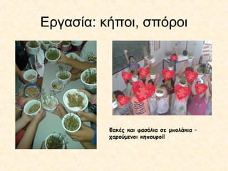 Εργασία: κήποι, σπόροι
Φακές και φασόλια σε μπολάκια –
χαρούμενοι κηπουροί!
 