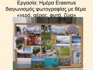 Εργασία: Ημέρα Erasmus
διαγωνισμός φωτογραφίας με θέμα
«νερό, αέρας, φυτά, ζώα»
 