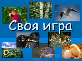 Своя играСвоя игра
 