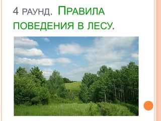 4 РАУНД. ПРАВИЛА
ПОВЕДЕНИЯ В ЛЕСУ.
 