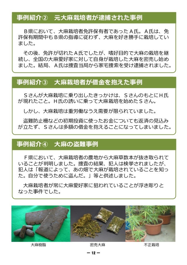 ご注意ください 大麻栽培でまちおこし