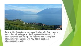 Ґрунти Швейцарії не дуже родючі. Для обробки придатні
лише бурі лісові ґрунти Швейцарського плоскогір'я і
нижніх частин схилів гір. На гірських схилах нерідкі
обвали і зсуви, що зносять ґрунтовий шар або
оброблювані землі.
 