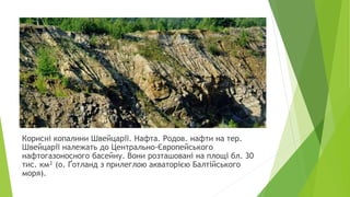Корисні копалини Швейцарії. Нафта. Родов. нафти на тер.
Швейцарії належать до Центрально-Європейського
нафтогазоносного басейну. Вони розташовані на площі бл. 30
тис. км² (о. Ґотланд з прилеглою акваторією Балтійського
моря).
 